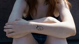 Temporary tattoo: Dinosaur