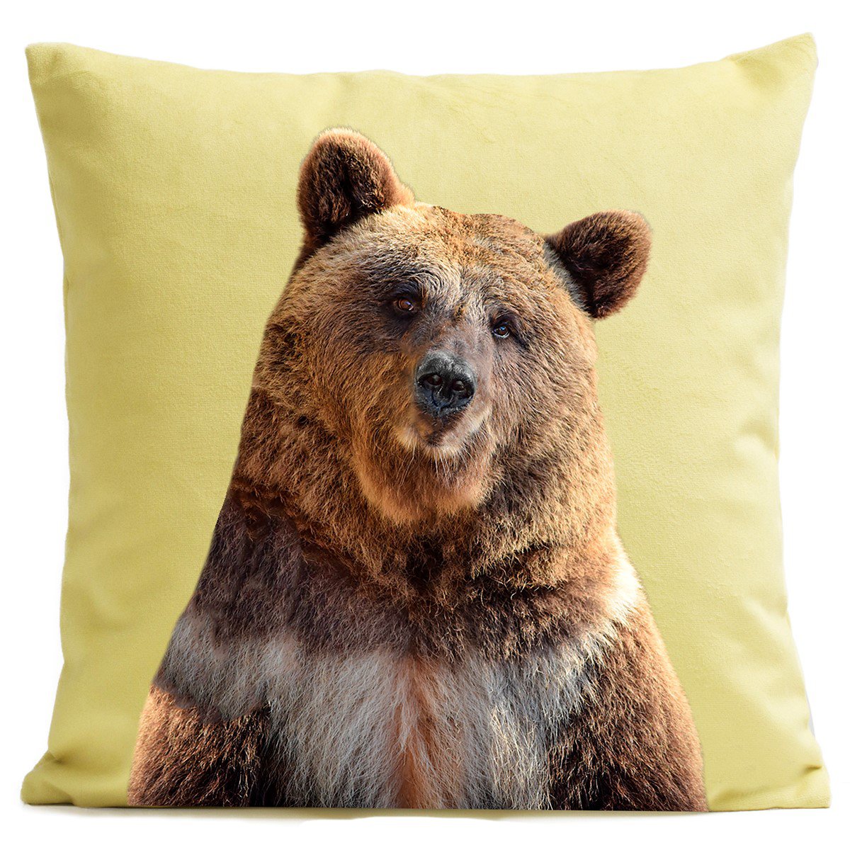 Bear cushion, Mr. Bear
