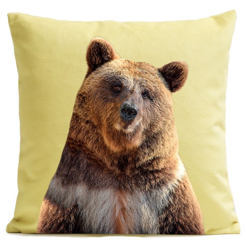 Bear cushion, Mr. Bear