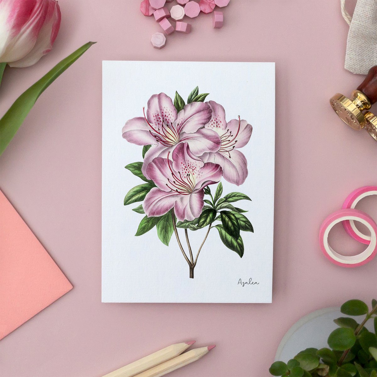 Rose Pack - Postales Hechas A Mano A6 con Sobre - Botanical Vintage