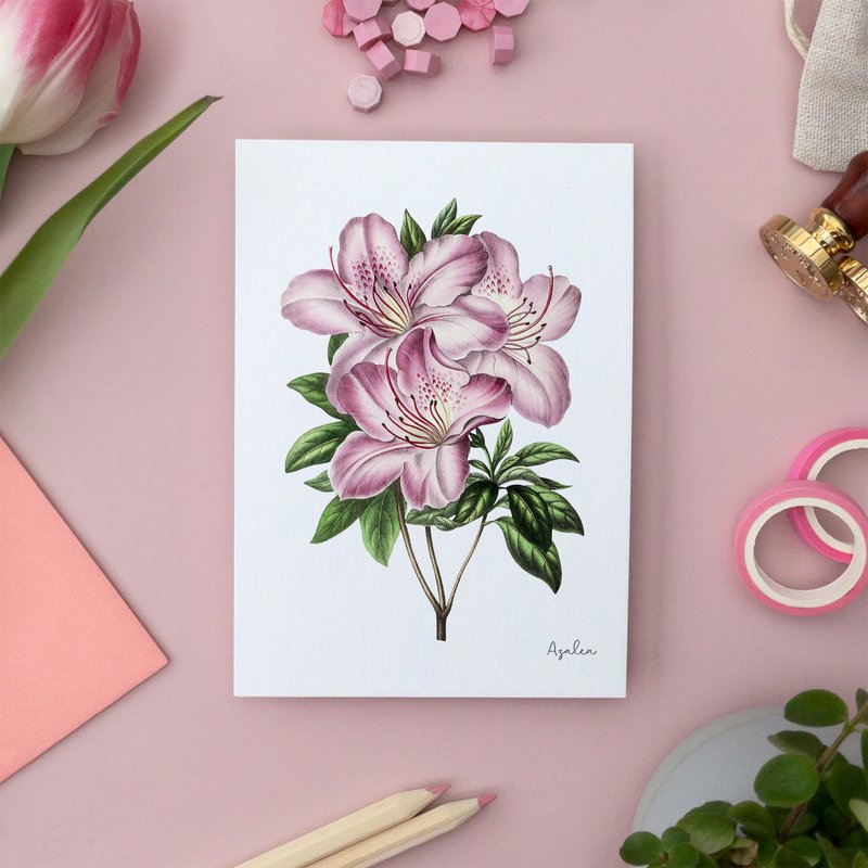 Rose Pack - Håndlavede postkort A6 med konvolut - Botanisk Vintage