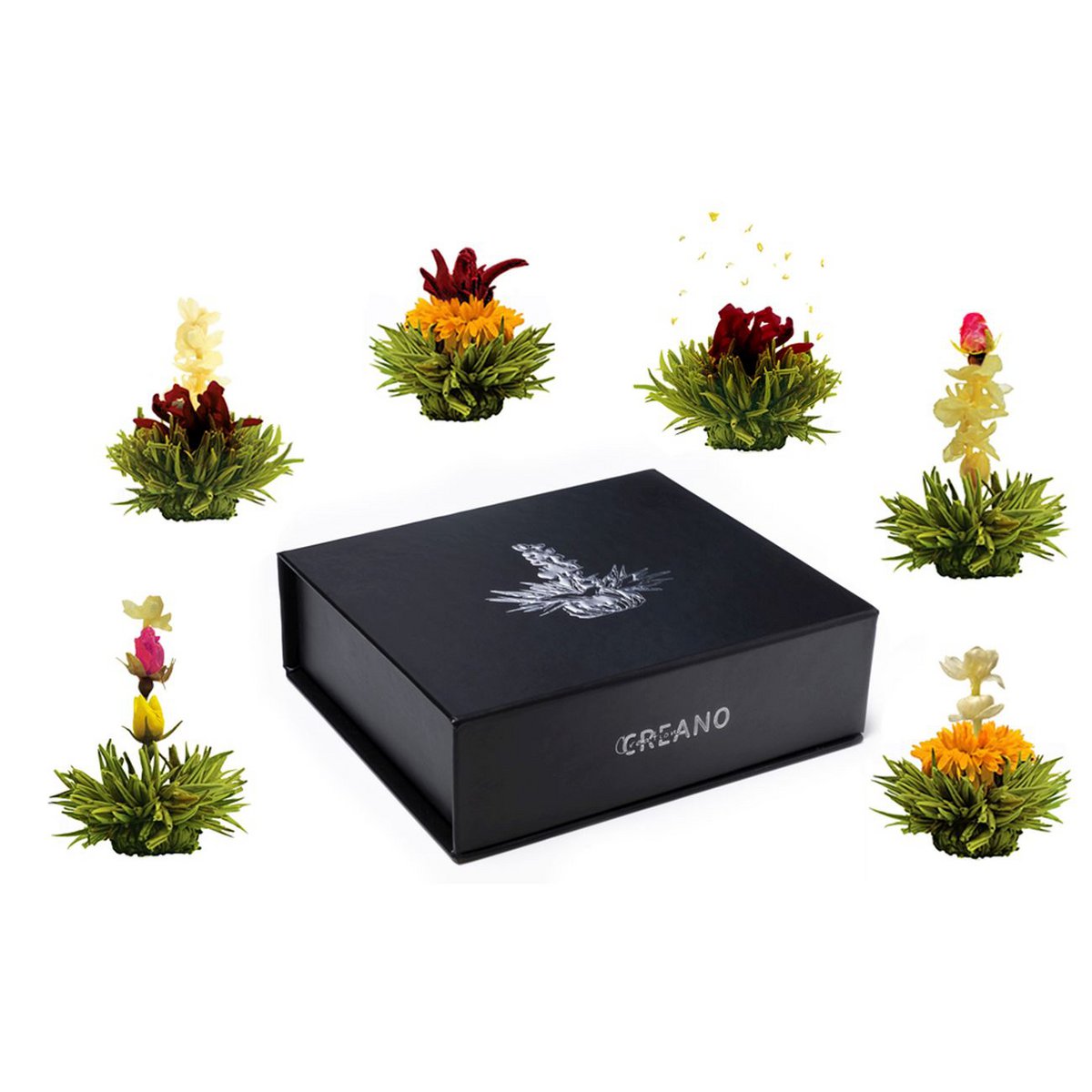 Magnetic box of 6 blooming tea green tea