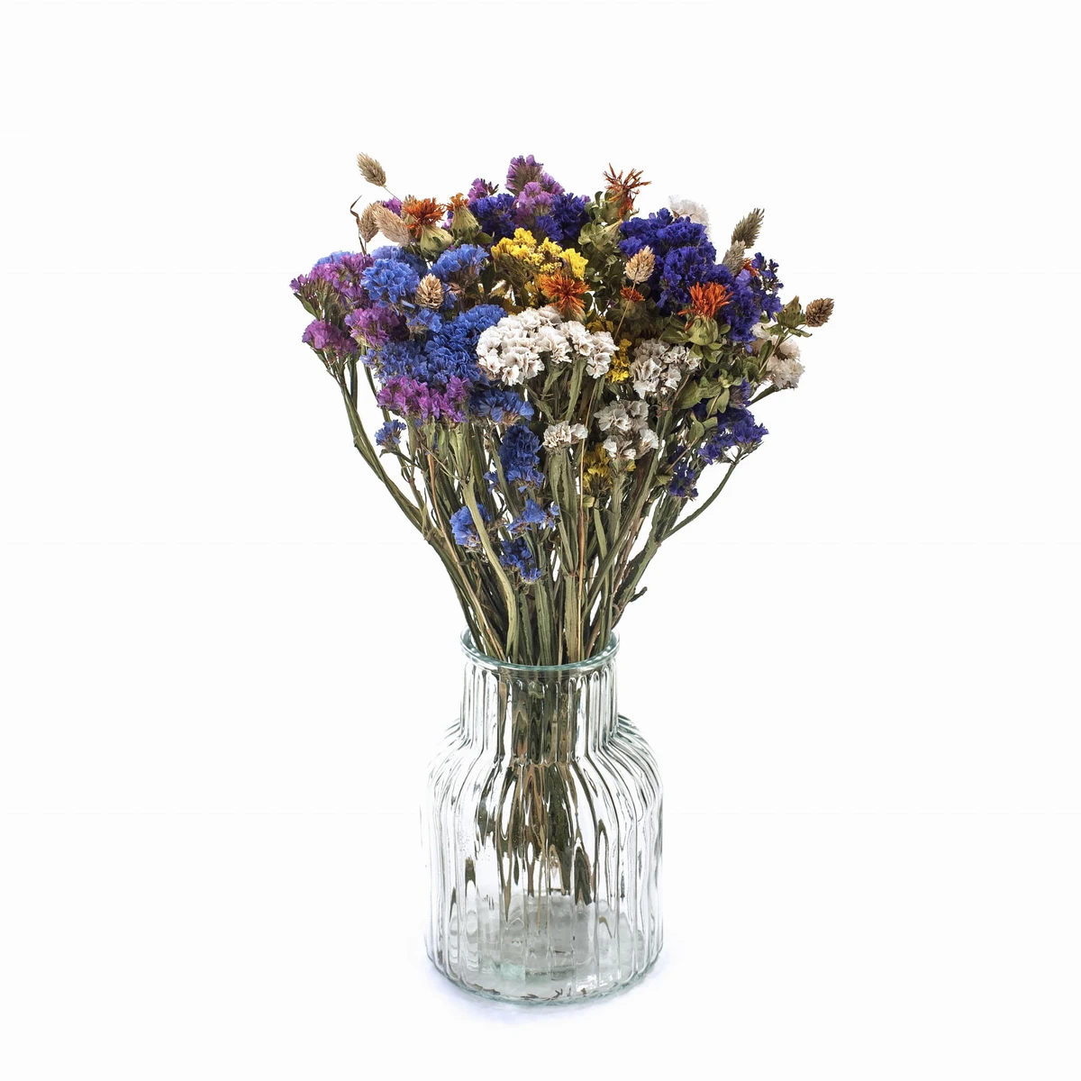 Gedroogde bloemen set Meadow-statice, saffloer, phalaris