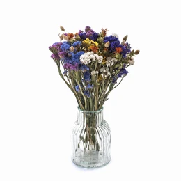 Tørrede blomster sæt Eng-statice, tidsel, phalaris