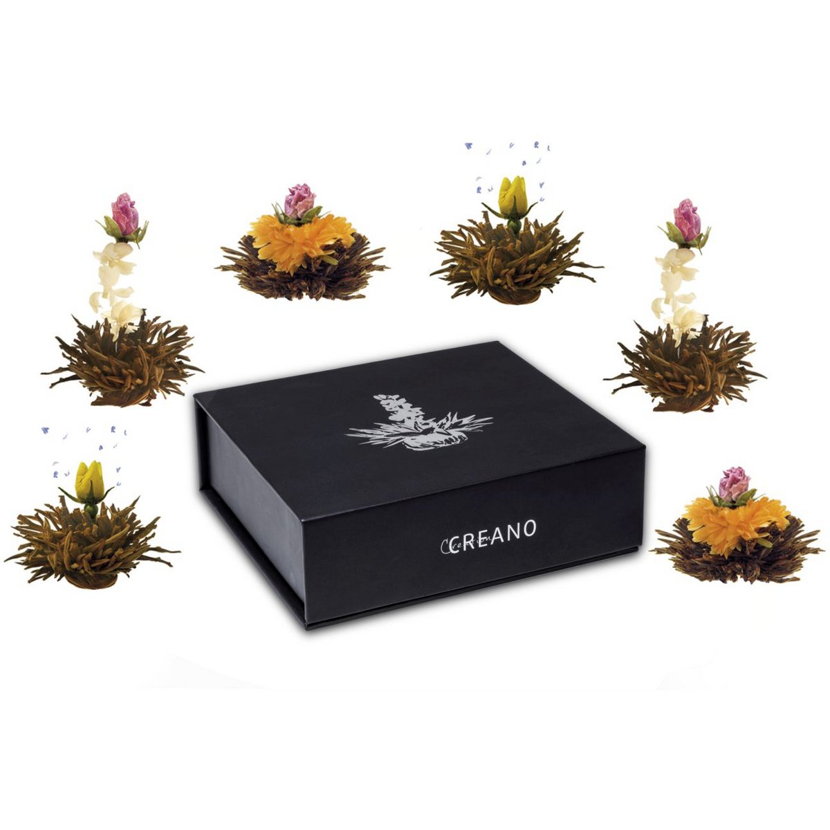 Magnetic box of 6 blooming tea black tea