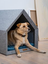 Pethome Perfektes Haus für einen Hund und eine Katze - hellgrau/recycelt