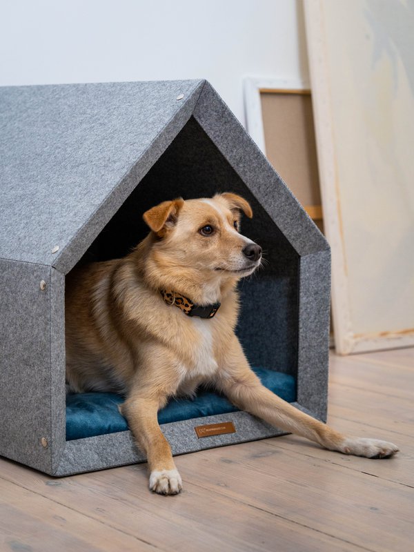 Pethome Perfektes Haus für einen Hund und eine Katze - hellgrau/recycelt