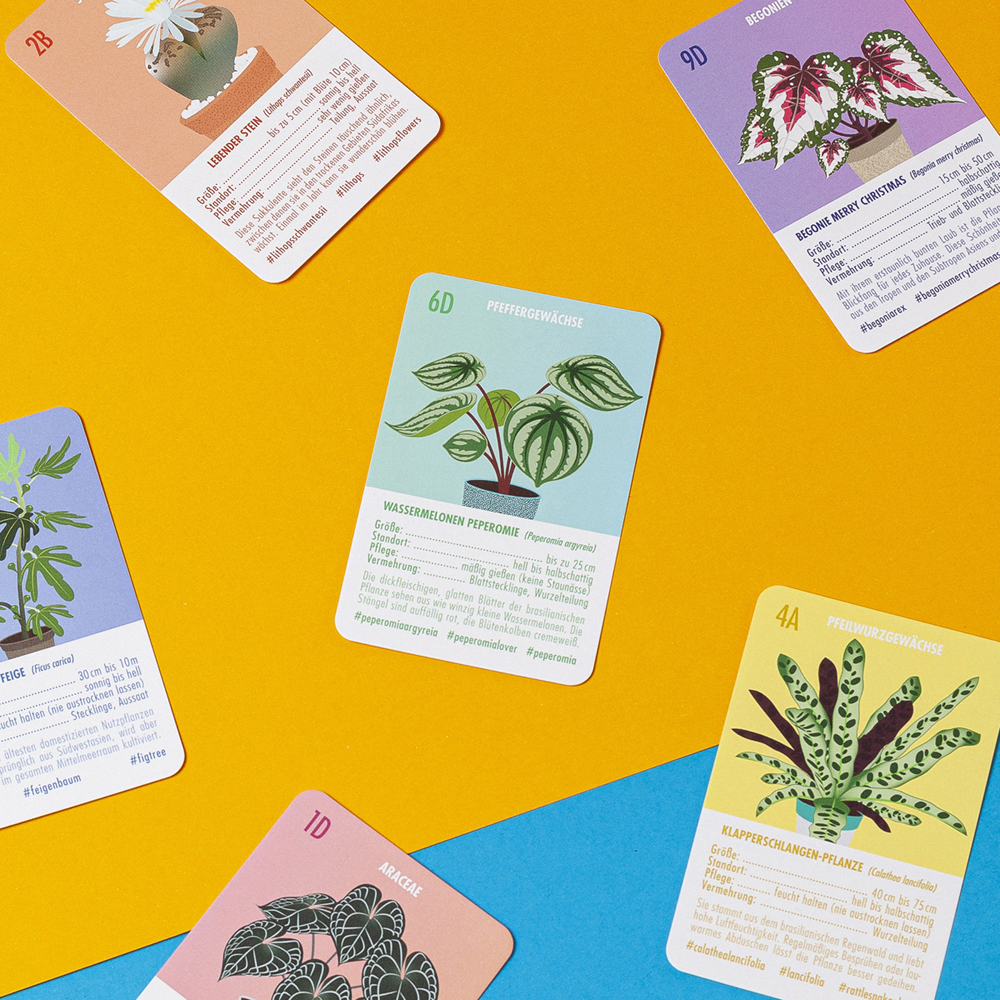 PLANT QUARTET