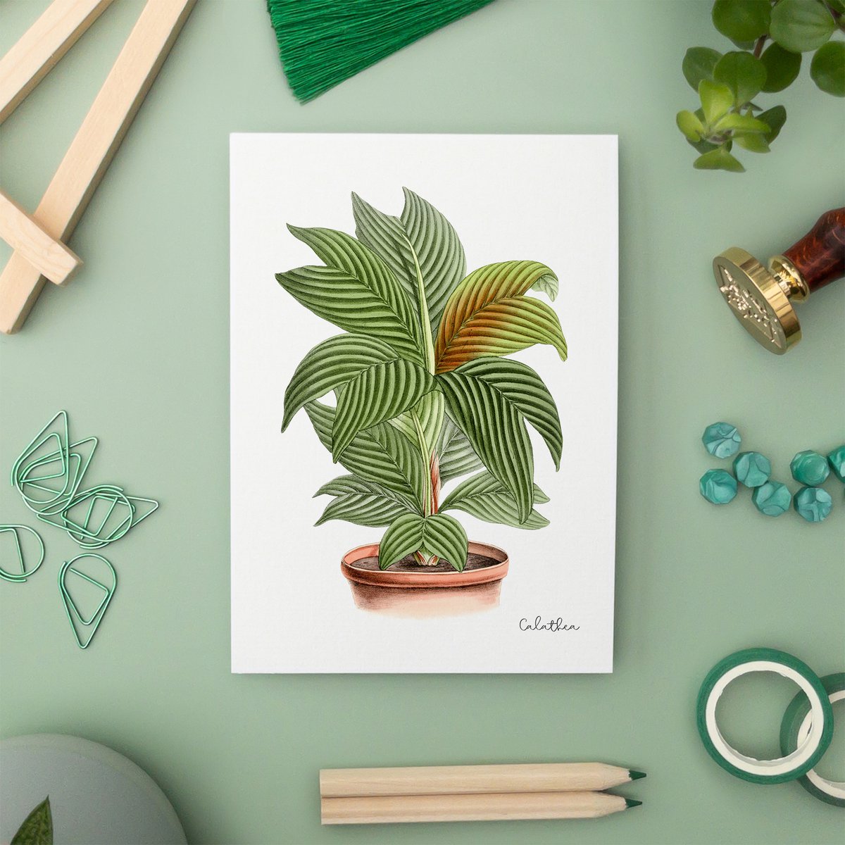 Green Pack - Handgemaakte Ansichtkaarten A6 met Envelop - Botanische Vintage