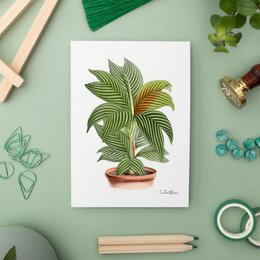 Green Pack - Handgemaakte Ansichtkaarten A6 met Envelop - Botanische Vintage