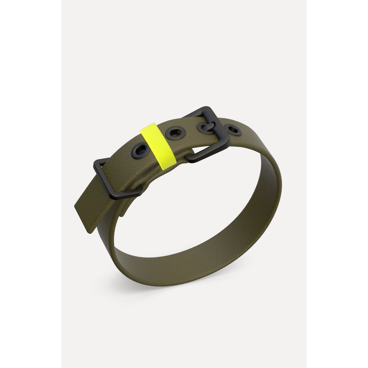 Dog collar C01