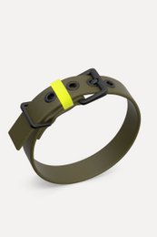 Dog collar C01