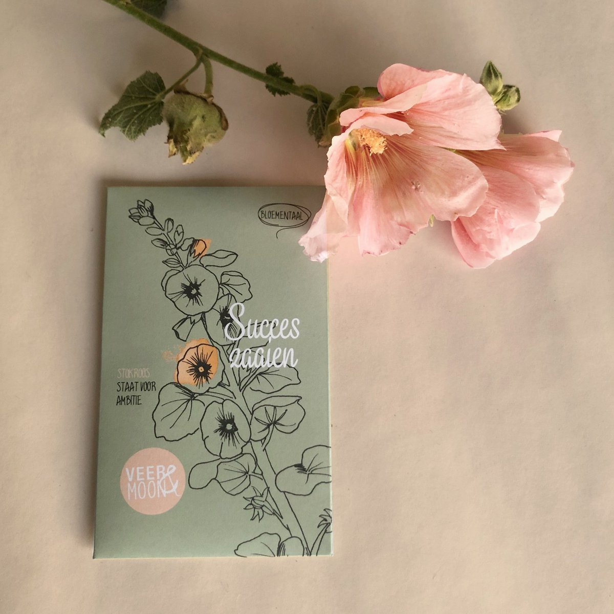 Bloemenzaden 'Succes zaaien'