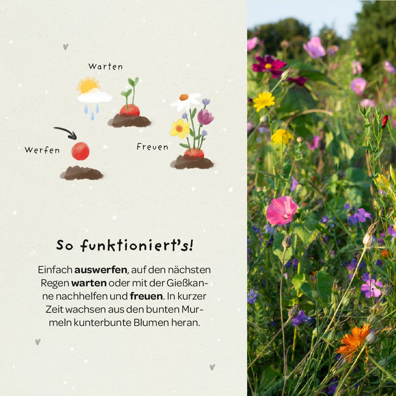 5er Blumenmurmeln im Pergaminbeutel - "Du bist 1. Klasse"- Einschulung