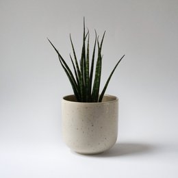 Bowl with lid MoxBowl Hollyhock - sand & speckels - 500ml