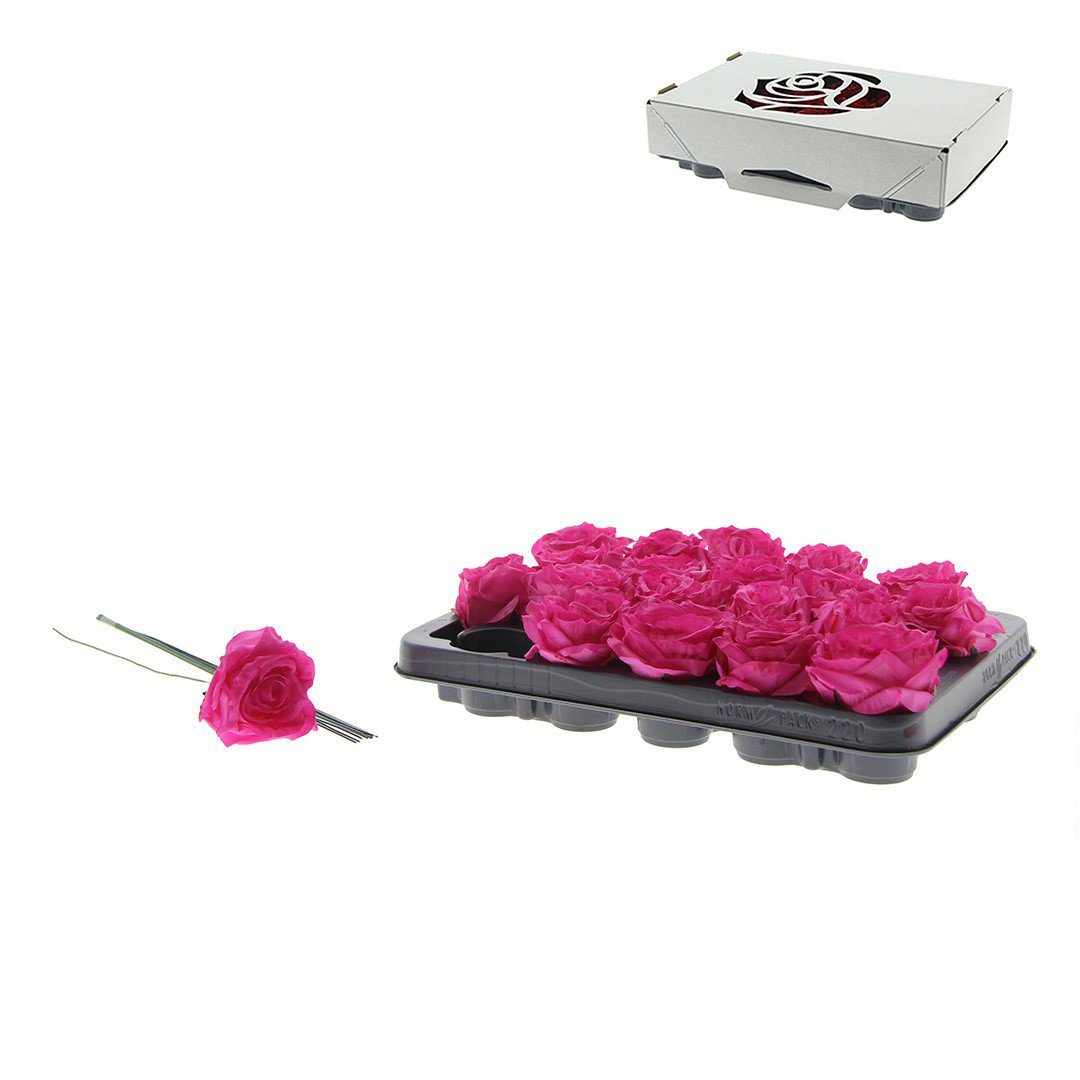 Rose Decooz® Silk - Dark pink