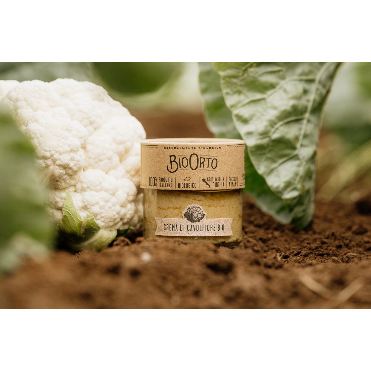 Bio blomkålcreme