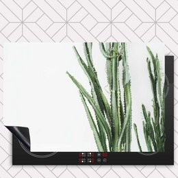 Protecteur induction - Cactus