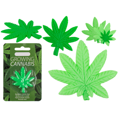Timmy Toys - B006 - Wachstum von Cannabis im Wasser - 5x5 cm - 1 Stück