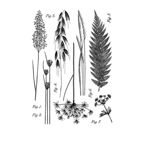 Neu in! Ovales Schmucktablett „Baum des Lebens“ – aus Jesmonit