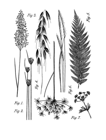 Neu in! Ovales Schmucktablett „Baum des Lebens“ – aus Jesmonit