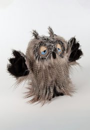 Miss Night Owl, BeastsTown