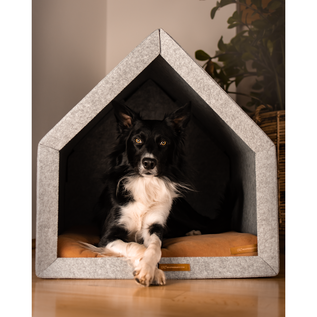 Pethome Perfekt hus til en hund og en kat - lysegrå/genanvendt