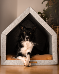 Pethome Perfektes Haus für einen Hund und eine Katze - hellgrau/recycelt