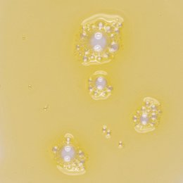 Body Oil with Passionfruit, Kumquat + Tangerine oils