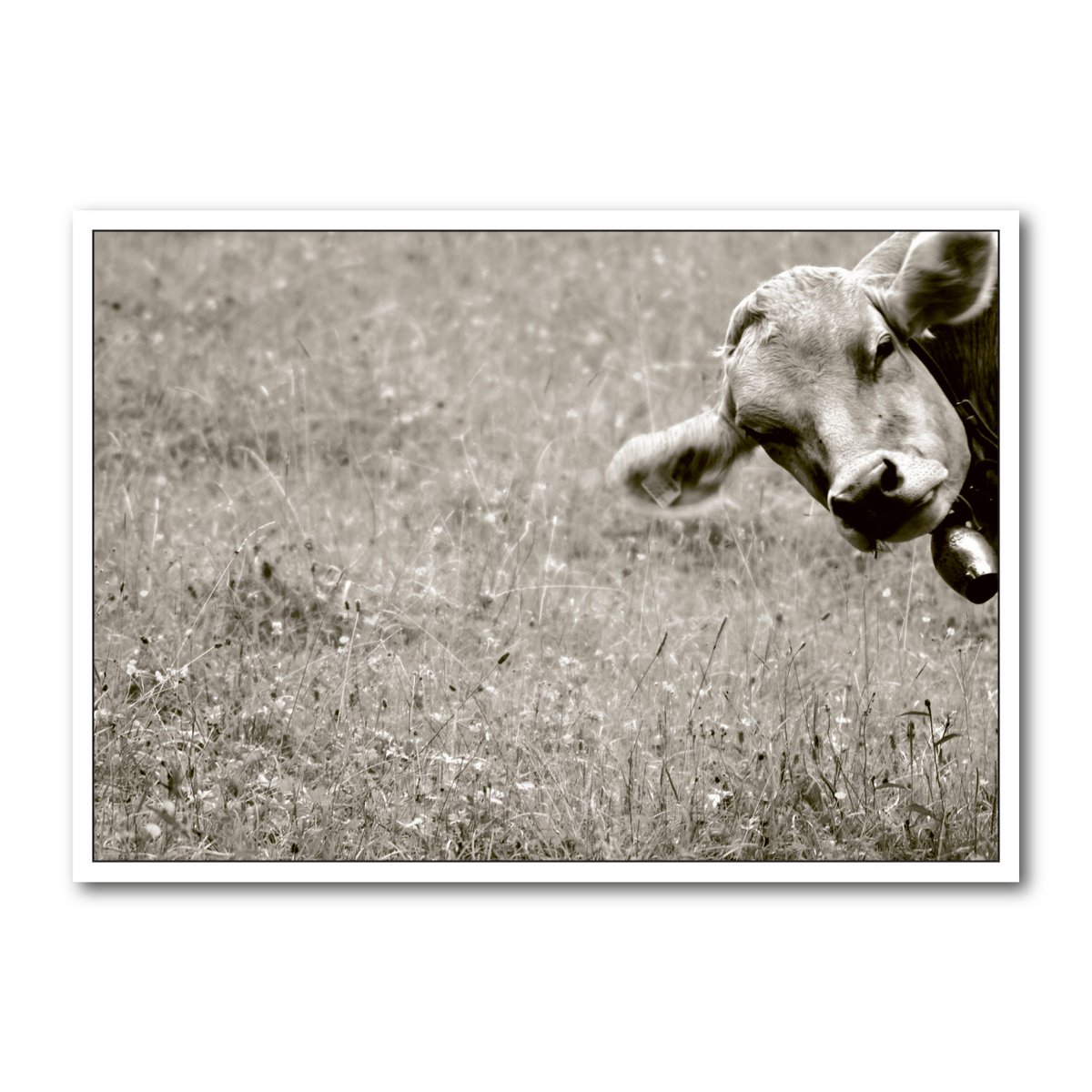 Postcard landscape format b/w DIN A6 MG1222