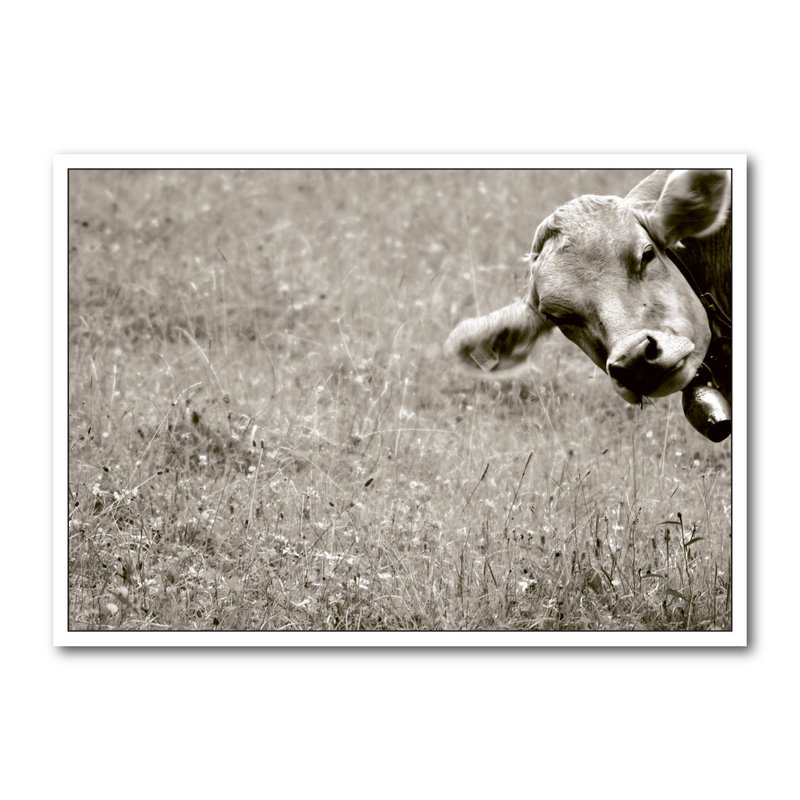 Postcard landscape format b/w DIN A6 MG1222