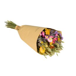 Fiori secchi - Bouquet di campo - Multi