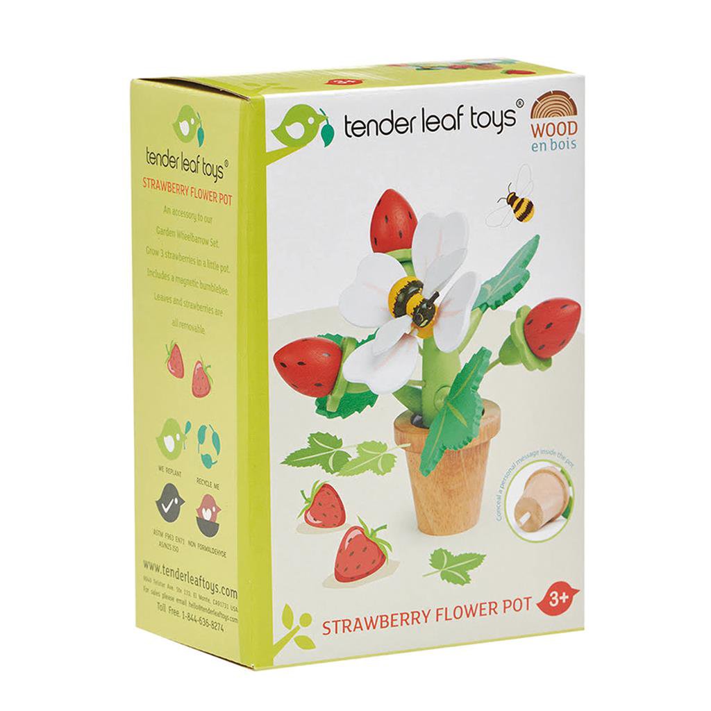 Pot de fleurs avec des fraises