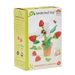 Pot de fleurs avec des fraises