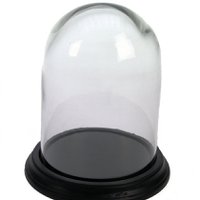 Bell jar with foot black