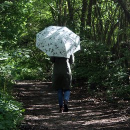 Umbrella - Garden birds
