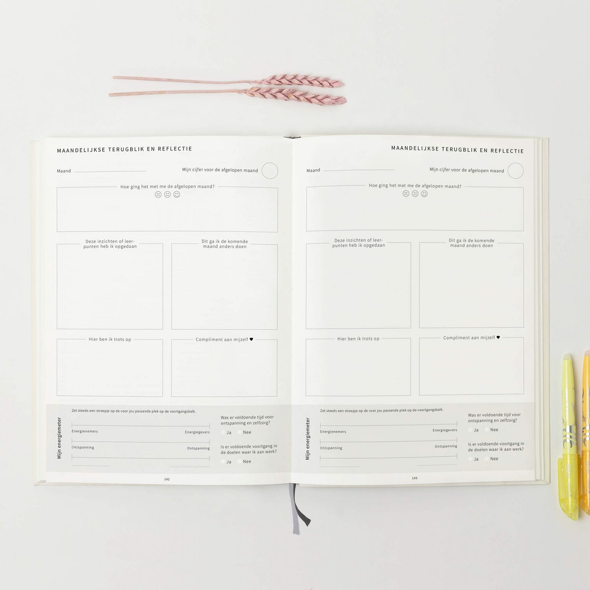 Prikkelarme planner Vlinder - Medium / A5+ ongedateerd