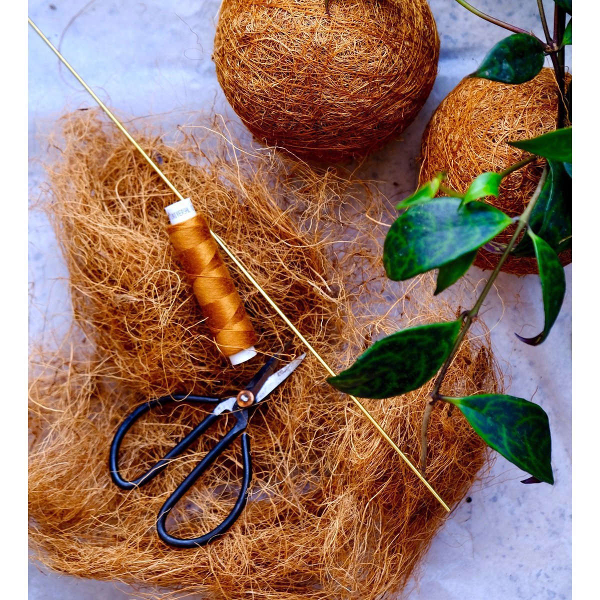 fibre di cocco