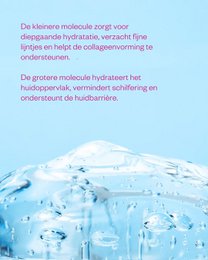 Hyaluron & Probiotics Mini