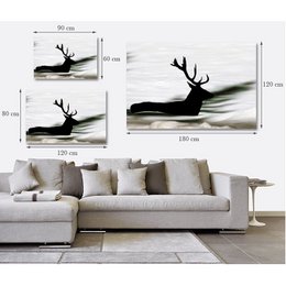 Acrylic glass billeder - Swimming Deer
