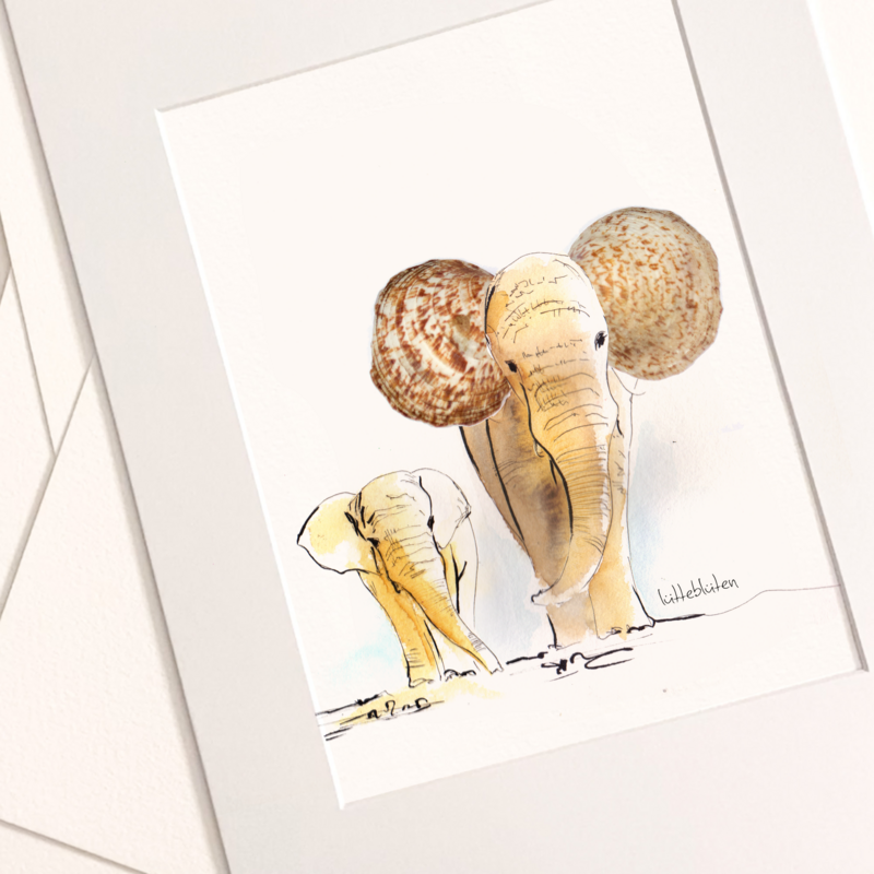 Muschel-Elefant - Art Prints