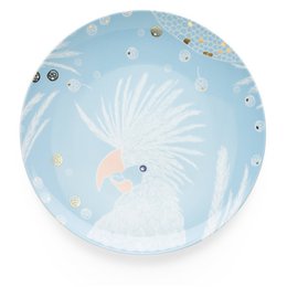 Platos llanos con pájaros