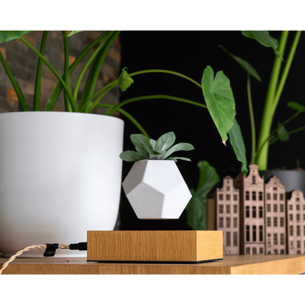 Set of 4 Addresses Medium