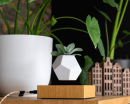 Set of 4 Addresses Medium