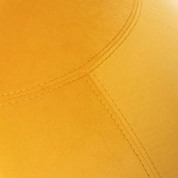 Bloon Elixir Mimosa