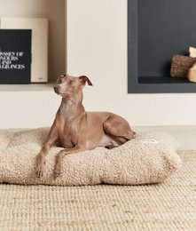Beige Shearling Hundesengepude, Bela