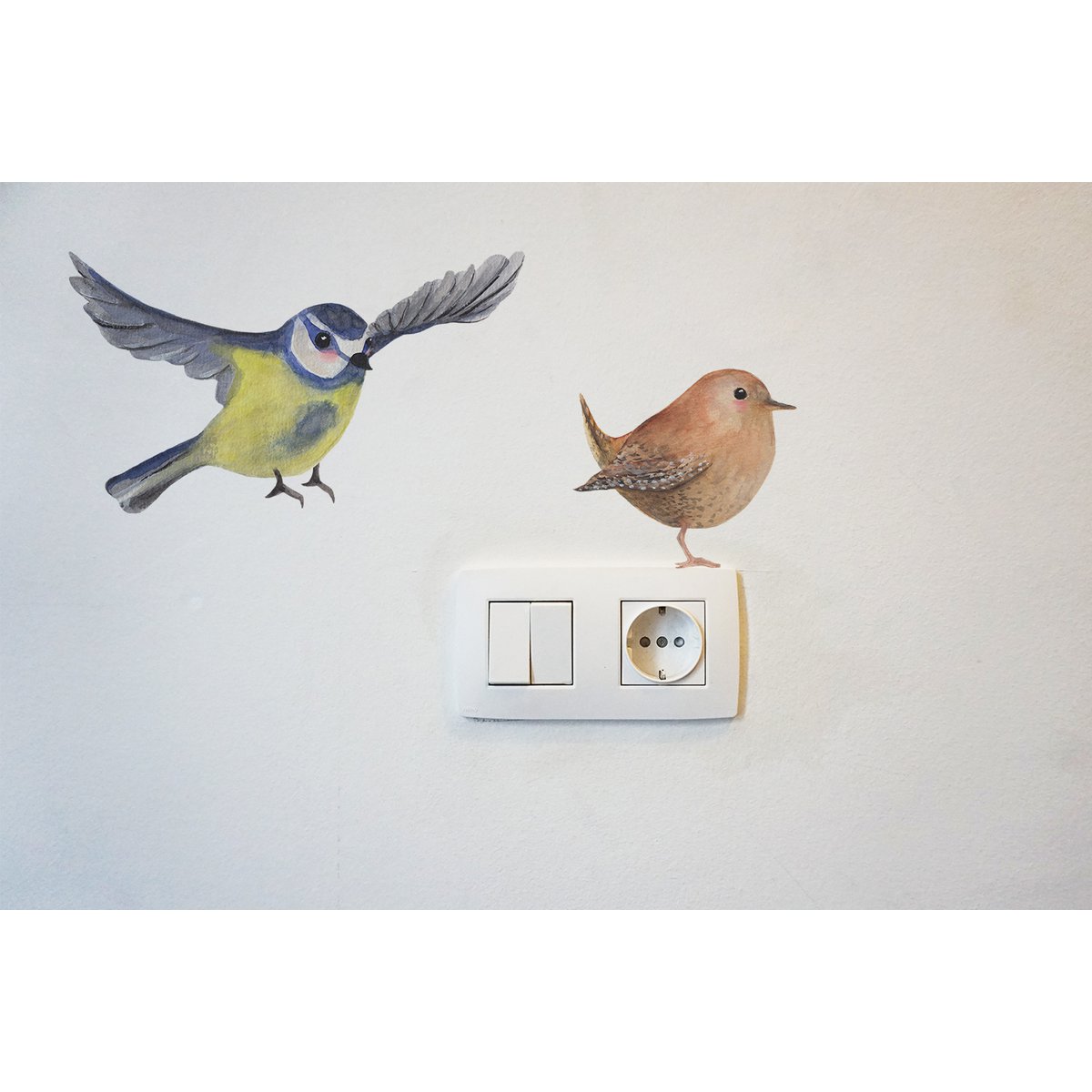 Wall sticker wren