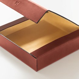 LGNDR Leather Case ETWEE Square