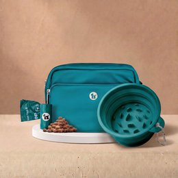 Bag and Bowl Lagoon Teal