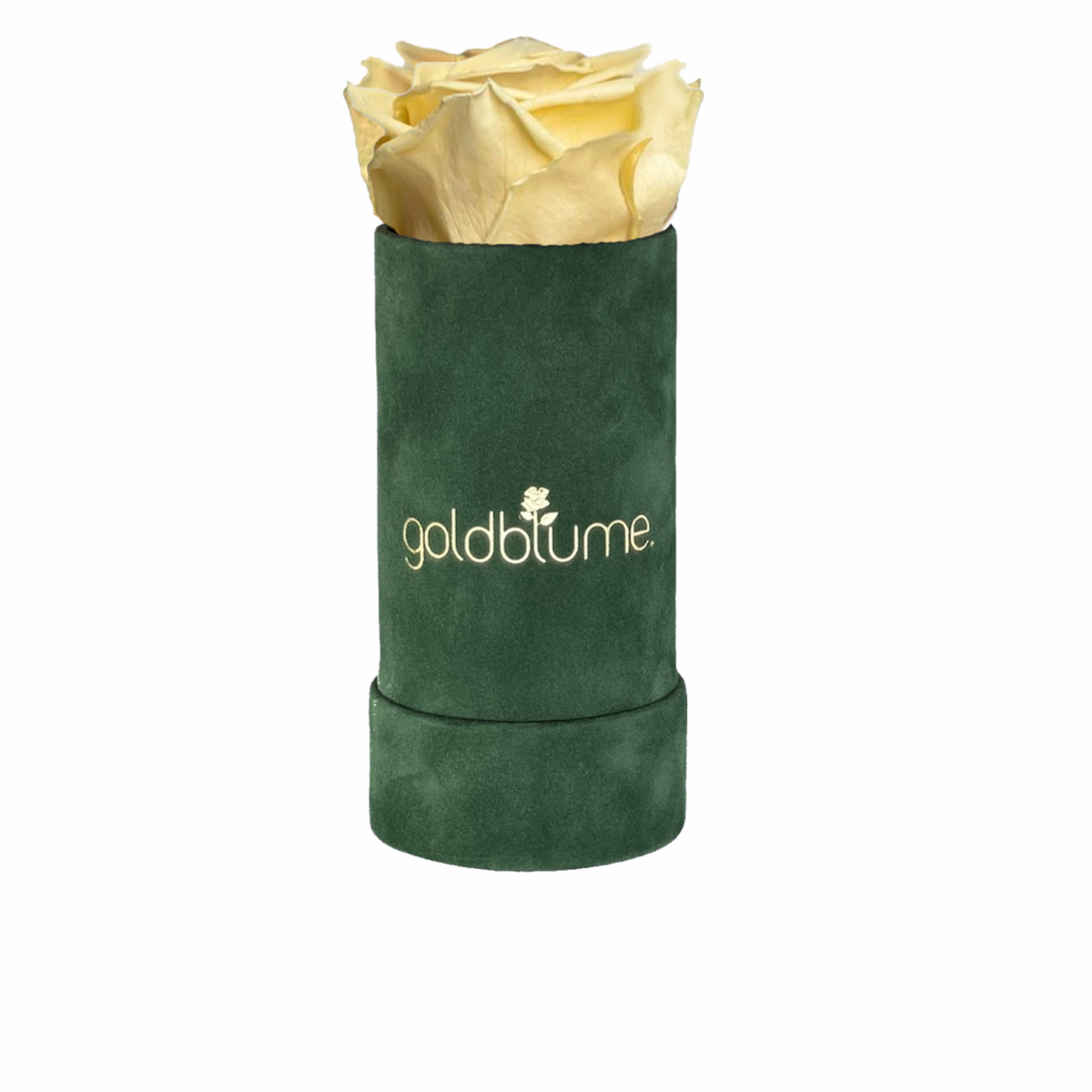 Velvet Green Collection